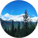 John H. profile picture